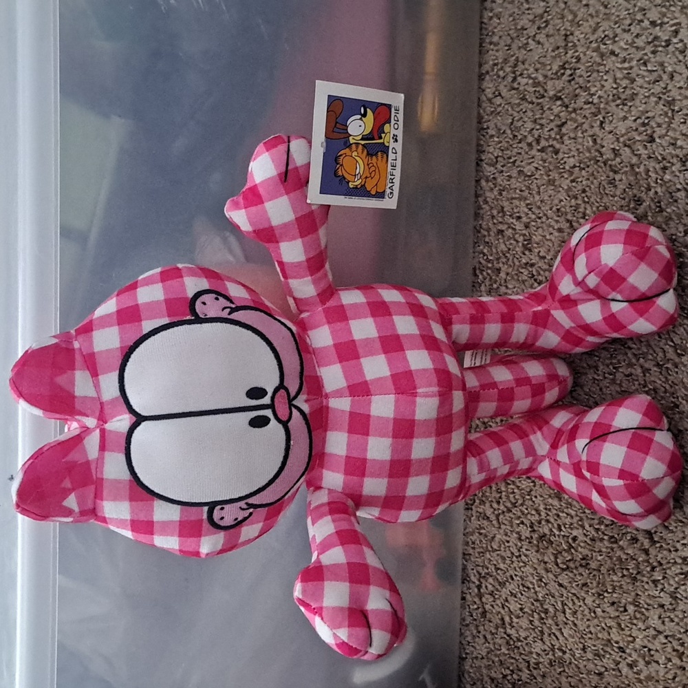 Pink Garfield